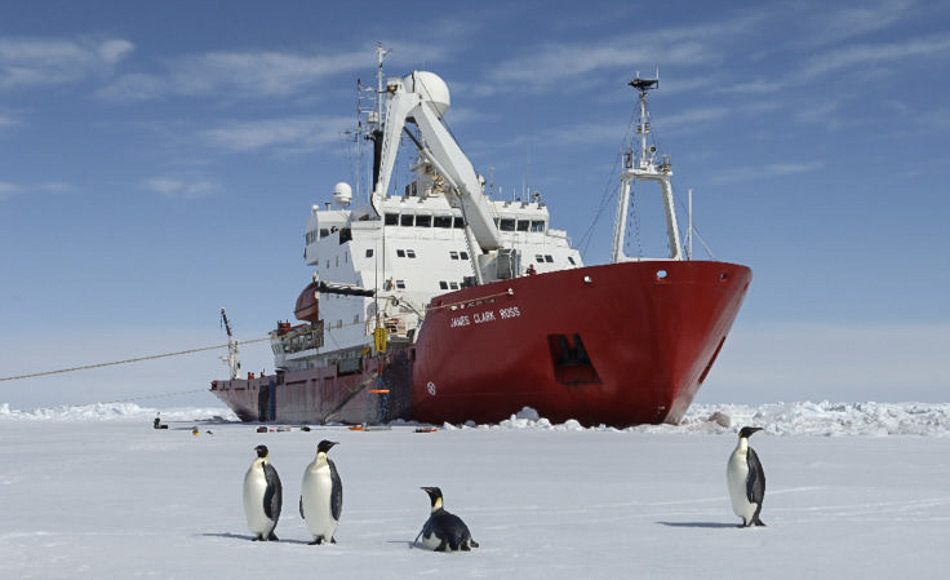 Kaiserpinguine auf dem Meereis vor dem Eisbrecher RRS James Clark Ross. Dickes Meereis macht das Vorankommen unmöglich. (Bild: BAS)